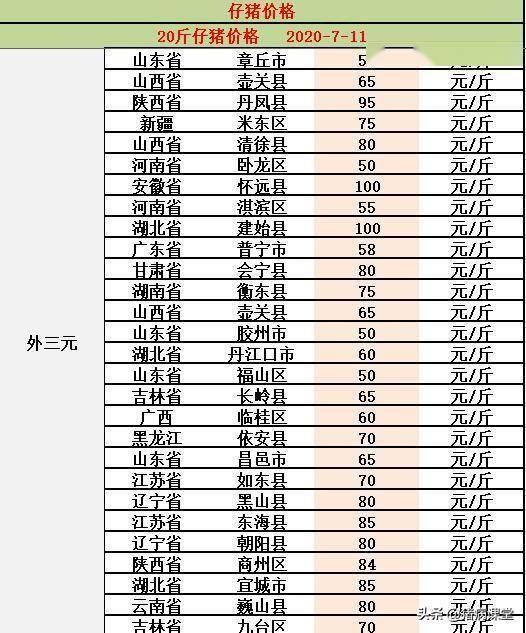 最新苗猪价格动态解析